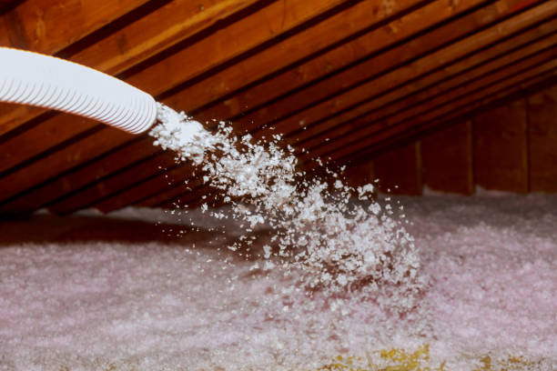 Best Commercial Insulation in New Boston, TX