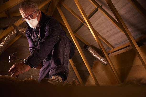 Best Types of Insulation in New Boston, TX